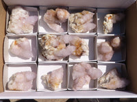 Natural Spirit Amethyst Quartz Clusters x 12 From Boekenhouthoek, South Africa