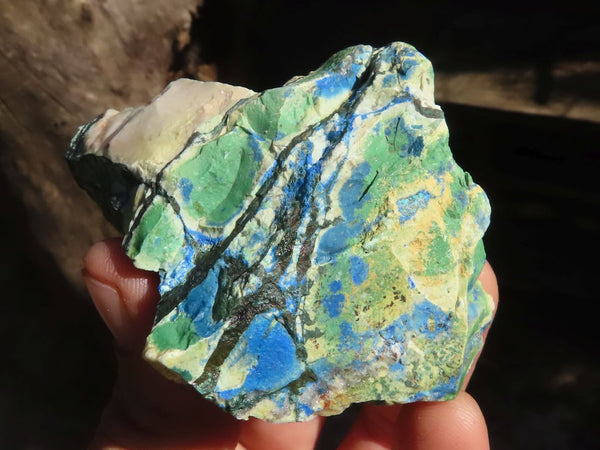 Natural Azurite & Malachite On Dolomite Specimens  x 12 From Kaokoveld, Namibia - Toprock Gemstones and Minerals 