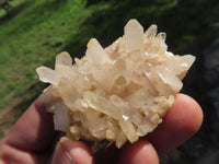 Natural Small Mixed Quartz Clusters x 35 From Madagascar - TopRock