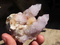 Natural Spirit Amethyst Quartz Clusters x 12 From Boekenhouthoek, South Africa