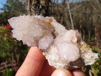 Natural Spirit Amethyst Quartz Clusters x 12 From Boekenhouthoek, South Africa