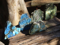 Polished Flashy One Side Polished Labradorite Slabs  x 5 From Tulear, Madagascar - Toprock Gemstones and Minerals 