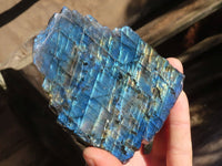 Polished Flashy One Side Polished Labradorite Slabs  x 5 From Tulear, Madagascar - Toprock Gemstones and Minerals 