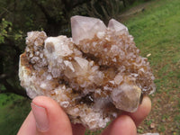 Natural Mixed Spirit Quartz Clusters  x 6 From Boekenhouthoek, South Africa - TopRock