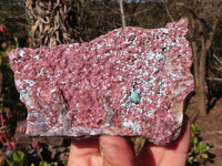 Natural Pink Salrose Cobaltion Dolomite Specimens  x 2 From Kakanda, Congo