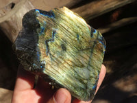 Polished Flashy One Side Polished Labradorite Slabs  x 5 From Tulear, Madagascar - Toprock Gemstones and Minerals 