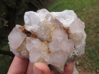 Natural Mixed Spirit Quartz Clusters  x 6 From Boekenhouthoek, South Africa - TopRock