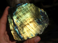 Polished Flashy One Side Polished Labradorite Slabs  x 5 From Tulear, Madagascar - Toprock Gemstones and Minerals 