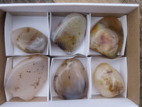 Polished Dendritic Agate Standing Free Forms  x 6 From Moralambo, Madagascar