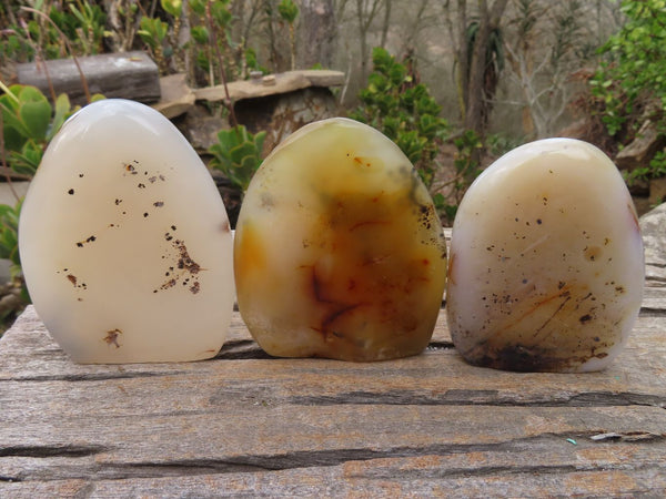 Polished Dendritic Agate Standing Free Forms  x 6 From Moralambo, Madagascar