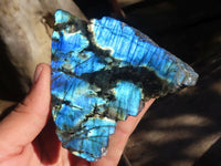 Polished Flashy One Side Polished Labradorite Slabs  x 5 From Tulear, Madagascar - Toprock Gemstones and Minerals 