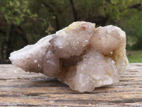 Natural Mixed Spirit Quartz Clusters  x 6 From Boekenhouthoek, South Africa - TopRock