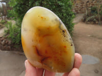 Polished Dendritic Agate Standing Free Forms  x 6 From Moralambo, Madagascar