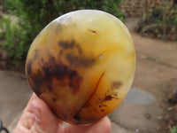 Polished Dendritic Agate Standing Free Forms  x 6 From Moralambo, Madagascar