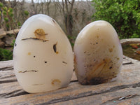 Polished Dendritic Agate Standing Free Forms  x 6 From Moralambo, Madagascar