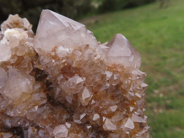 Natural Mixed Spirit Quartz Clusters  x 6 From Boekenhouthoek, South Africa - TopRock