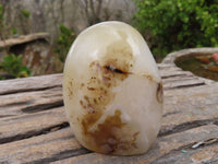 Polished Dendritic Agate Standing Free Forms  x 6 From Moralambo, Madagascar