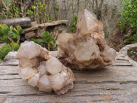 Natural Cascading White Phantom Smokey Quartz Clusters x 2 From Luena, Congo