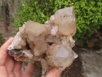 Natural Cascading White Phantom Smokey Quartz Clusters x 2 From Luena, Congo