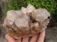 Natural Cascading White Phantom Smokey Quartz Clusters x 2 From Luena, Congo