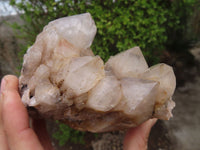 Natural Cascading White Phantom Smokey Quartz Clusters x 2 From Luena, Congo