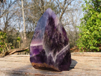 Polished  Dark Chevron Amethyst Points x 2 From Zambia