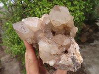 Natural Cascading White Phantom Smokey Quartz Clusters x 2 From Luena, Congo