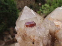 Natural Cascading White Phantom Smokey Quartz Clusters x 2 From Luena, Congo