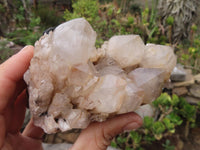 Natural Cascading White Phantom Smokey Quartz Clusters x 2 From Luena, Congo