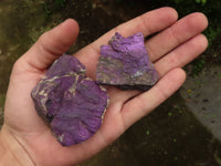 Natural Rough Purpurite Cobbed Specimens  x 15 From Namibia - TopRock