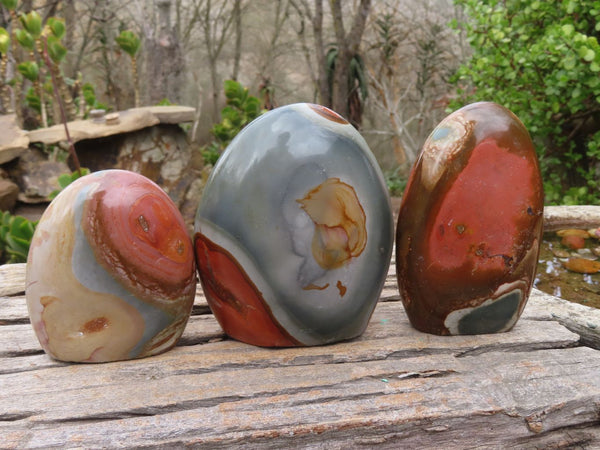 Polished Polychrome Jasper Standing Free Forms  x 3 From Madagascar