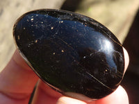 Polished Schorl Black Tourmaline Palm Stones  x 24 From Madagascar - Toprock Gemstones and Minerals 