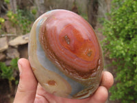 Polished Polychrome Jasper Standing Free Forms  x 3 From Madagascar