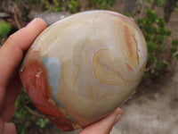 Polished Polychrome Jasper Standing Free Forms  x 3 From Madagascar