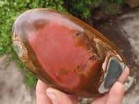 Polished Polychrome Jasper Standing Free Forms  x 3 From Madagascar