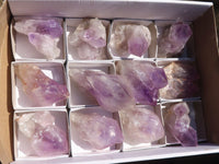 Natural Jacaranda Amethyst Crystals & Clusters  x 12 From Mumbwa, Zambia - Toprock Gemstones and Minerals 