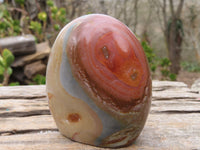 Polished Polychrome Jasper Standing Free Forms  x 3 From Madagascar