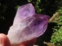 Natural Jacaranda Amethyst Crystals & Clusters  x 12 From Mumbwa, Zambia - Toprock Gemstones and Minerals 