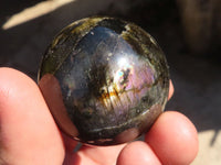 Polished Mini Labradorite Spheres  x 12 From Tulear, Madagascar