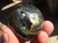 Polished Mini Labradorite Spheres  x 12 From Tulear, Madagascar