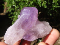 Natural Jacaranda Amethyst Crystals & Clusters  x 12 From Mumbwa, Zambia - Toprock Gemstones and Minerals 