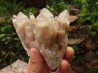 Natural Cascading White Phantom Quartz Crystal Clusters  x 6 From Luena, Congo - TopRock