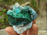 Natural Dioptase In Matrix Specimens  x 7 From Grootfontein, Namibia