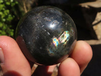 Polished Mini Labradorite Spheres  x 12 From Tulear, Madagascar