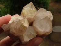 Natural Cascading White Phantom Quartz Crystal Clusters  x 6 From Luena, Congo - TopRock