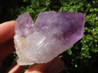 Natural Jacaranda Amethyst Crystals & Clusters  x 12 From Mumbwa, Zambia - Toprock Gemstones and Minerals 