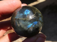 Polished Mini Labradorite Spheres  x 12 From Tulear, Madagascar