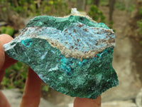 Natural Dioptase In Matrix Specimens  x 7 From Grootfontein, Namibia