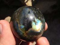 Polished Mini Labradorite Spheres  x 12 From Tulear, Madagascar