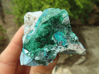 Natural Dioptase In Matrix Specimens  x 7 From Grootfontein, Namibia